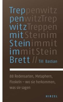 Treppenwitz mit Stein im Brett - Bastian, Till