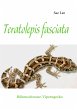 Teratolepis fasciata - Bild 1