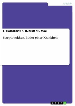 Streptokokken. Bilder einer Krankheit - Flachsbart, F.;Mau, H.;Kraft, K.-H.