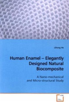 Cover Human Enamel - Elegantly Designed Natural Biocomposite