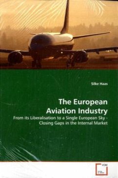 The European Aviation Industry - Haas, Silke