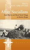 After Socialism