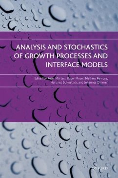 Analysis and Stochastics of Growth Processes and Interface Models