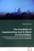 The Feasibility of Implementing Coal