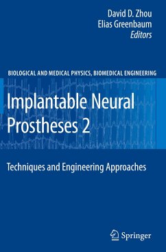 Implantable Neural Prostheses 2 - Zhou, David / Greenbaum, Elias (ed.)