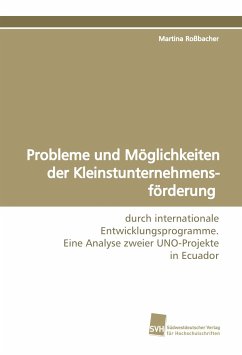 Probleme und Möglichkeiten der Kleinstunternehmensförderung - Roßbacher, Martina