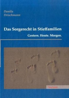 Das Sorgerecht in Stieffamilien - Drischmann, Danila