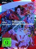 Sakuran - Wilde Kirschblüte