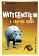 Introducing Wittgenstein - Bild 1