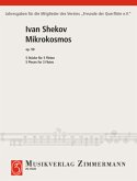 Mikrokosmos op. 90, 3 Flöten