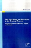 Plea Bargaining and Agreement in the Criminal Process