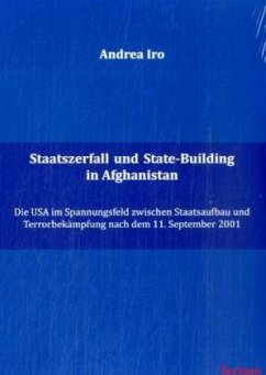 Staatszerfall und State-Building in Afghanistan - Iro, Andrea