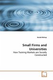 Small Firms and Universities