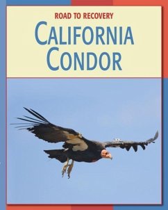 California Condor - Gray, Susan H