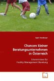 Chancen kleiner Beratungsunternehmen in Österreich