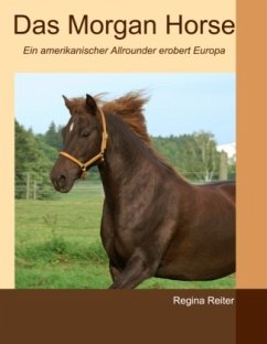 Das Morgan Horse - Reiter, Regina