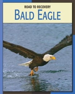 Bald Eagle - Gray, Susan H