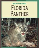 Florida Panther