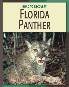 Florida Panther - Somervill, Barbara A