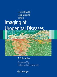 Imaging of Urogenital Diseases - Olivetti, Lucio / Grazioli, Luigi (ed.)