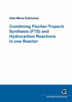 Combining Fischer-Tropsch synthesis (FTS) and hydrocarbon reactions in one reactor - Mena Subiranas, Alba