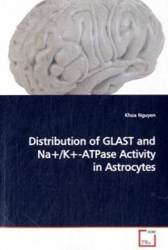 Distribution of GLAST and Na+/K+-ATPase Activity in Astrocytes - Nguyen, Khoa