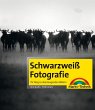 Schwarzweiß-Fotografie - Bild 1