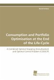 Consumption and Portfolio Optimisation at the End of the Life-Cycle