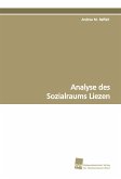 Analyse des Sozialraums Liezen