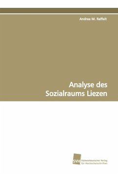 Analyse des Sozialraums Liezen - Raffalt, Andrea M.