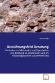 Bewährungsfeld Beratung