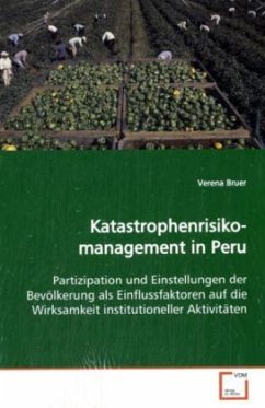 Katastrophenrisikomanagement in Peru - Bruer, Verena