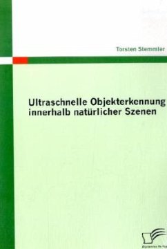 Ultraschnelle Objekterkennung innerhalb natürlicher Szenen - Stemmler, Torsten