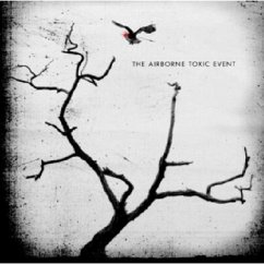 Cover The Airborne Toxic Event