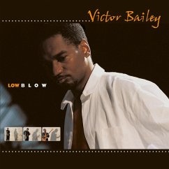 Low Blow - Bailey,Victor