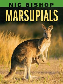 Nic Bishop: Marsupials - Bishop, Nic