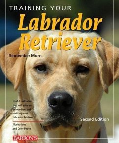 Training Your Labrador Retriever - Morn, September