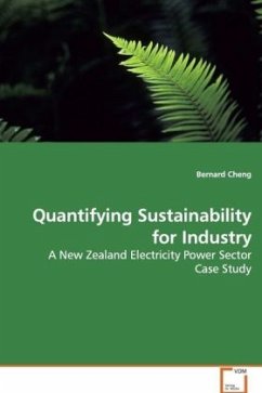 Quantifying Sustainability for Industry - Cheng, Bernard