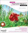 Foundation Expression Blend 3 with... - Bild 1