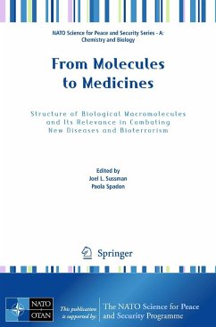 From Molecules to Medicines - Sussman, Joel L. / Spadon, Paola (ed.)