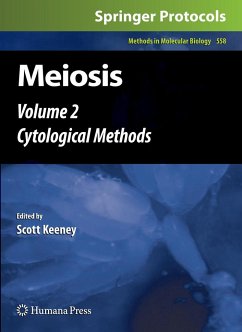 Meiosis, Volume 2 - Keeney, Scott (ed.)