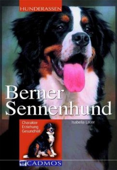 Berner Sennenhund - Lauer, Isabella