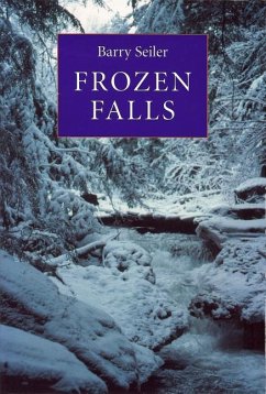 Frozen Falls - Seiler, Barry