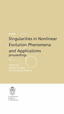 Singularities in Nonlinear Evolution Phenomena and Applications - Novaga, Matteo / Orlandi, Giandomenico (ed.)