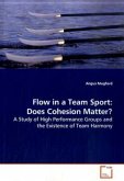 Flow in a Team Sport: Does Cohesion Matter?