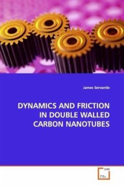 DYNAMICS AND FRICTION IN DOUBLE WALLED CARBON NANOTUBES - Servantie, James