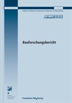 Innovationsbiographien in der Bauwirtschaft. Abschlussbericht - Butzin, Anna;Rehfeld, Dieter