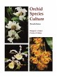 Dendrobium - Bild 1