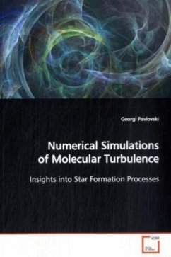 Cover Numerical Simulations of Molecular Turbulence