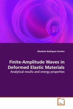 Finite-Amplitude Waves in Deformed Elastic Materials - Rodrigues Ferreira, Elizabete